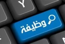 3af305c34ef02d38db14e184c4eeb90f