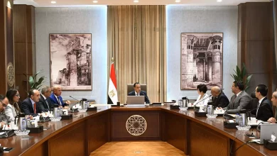 3d8a4767f0b64cdffe3683e9d3e63d88