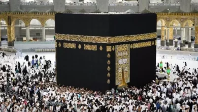 41a8a8fb7cf47be238a7349bee3e1a82