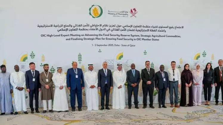 43d05a143817c3c1ca9ea66908d5e190