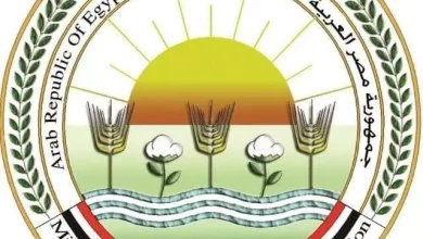 52e00f4d903238a3e2014d39173ad5d4