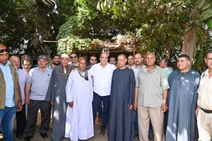 553b74c59ed0a3c6a4a3c764728d5eeb