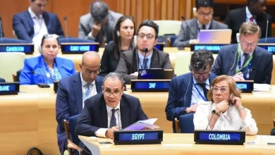 589ddda34fbd1821b36bf85bfbc2727f