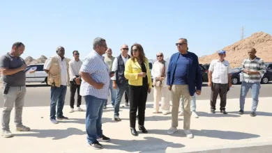 646a3b12b27805f22ce5b8375f4c7b70