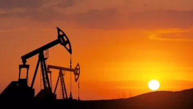 6779c2b1951770cc96b9bdfb63ab60c9