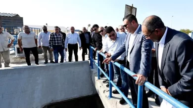 76ada053ed8d2be50e73e04b15a67163