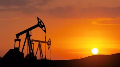 9bd95f95c5e8ce79c722b9ba2a9c71e7