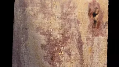 Afb8830a4c7f774ee685d6f074d586c0