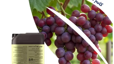 C3606af89ca189b38cd167791f80be8a