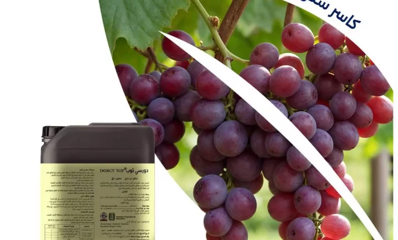 C3606af89ca189b38cd167791f80be8a