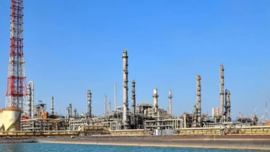 D941c2f9c259ec7fb0d3b2c5a21f8215