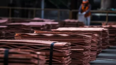 Fc21cbfe7ff1ff589d018d50969bdaf2