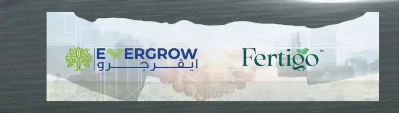 05de2bb4e4f837a1bbeb9b229951c8ea