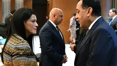 07f6633234089b5a74633e24e3fc6cfd