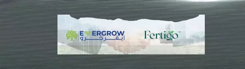 846fa83cb49dda1090c99c1ff06ebee2