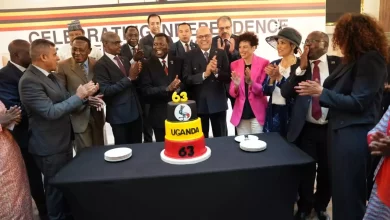 900701fe477f10aa03f8d161759c247f