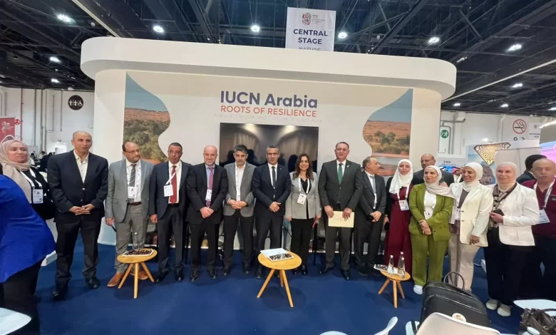 9167ecb0c0e8f2e92e165f6496a73eac