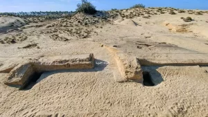 A1d1be81ac1eb3762ac3c1bd0ef45b83