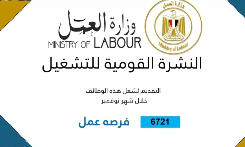 Bf93fcb6258b48088d8fe6917fea9319