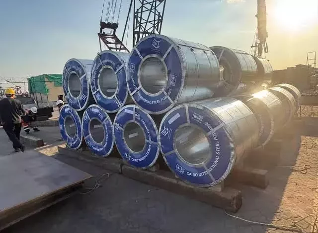 C5c080ab03ad3e3a3bb9d6d0e1eb8693