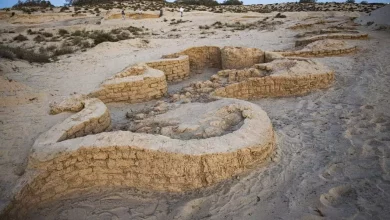 C9cc0845b6a34867638853719a7d7cff