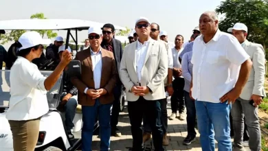 D30caf1c713087db3feb66357a77d68e