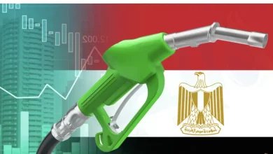 E9b32ab217606fa6369b33f791e3de93