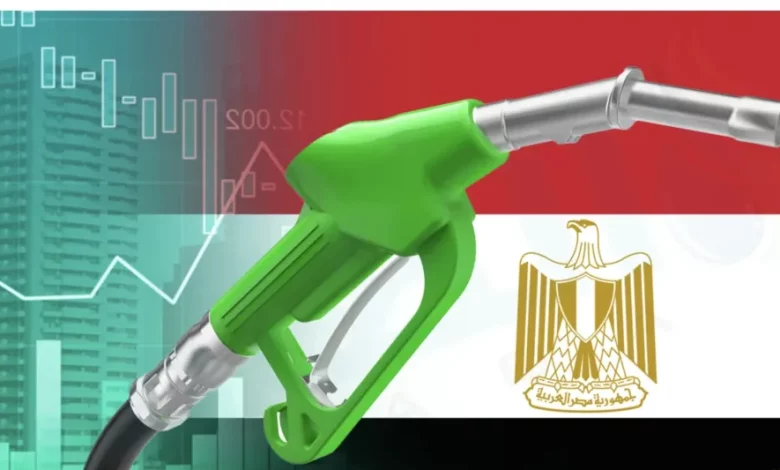 E9b32ab217606fa6369b33f791e3de93