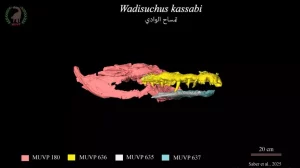 Ef212e8674543d3e7b9e607e5c3af0ab