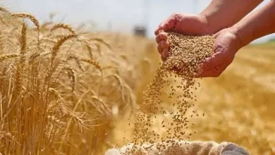 F85790051c4b863afe8057cb5760489b