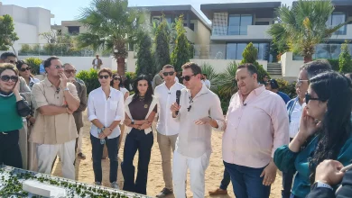 1238cdad6e02eacd97f6a3e2b2b28512