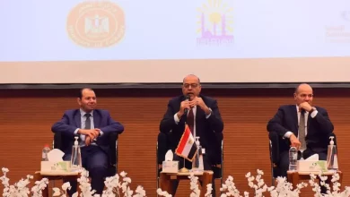 480ba9afe2b942a0019c2be8c2352e13