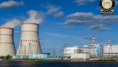 498144b3646b1ab0785fc00e652929f9