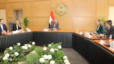 55f24d07e13ff9d0c863539d25e0a7d8