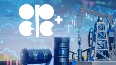 6903b947f24d1c80c666a9b44bc45fde