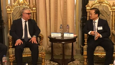 7dd7a0489e9436a0c747a93d0b961ba5