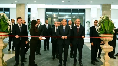 9e3122bae6ad1fc32abd83d342596d77