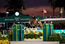 Ccf0c8e594ba9d237aaed9a895ba3038