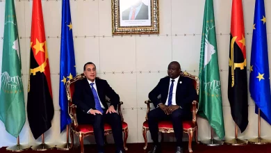 D68a6041262cc268fa188f25323d2390