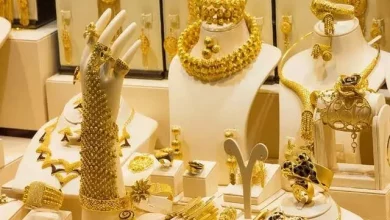 Fc393ffa604f63cdd0113660410cc7d3