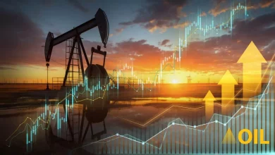 067223dc23562b337f2b2916b4efcf17