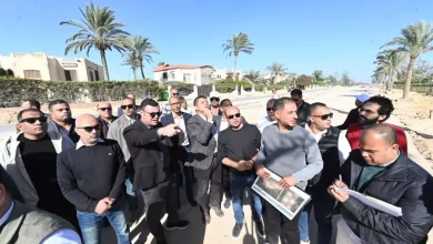 06fff61fc28b8b33cd8c73e55942e8d1