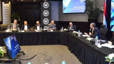 1172724ad25d089cda8a7e1411b889eb