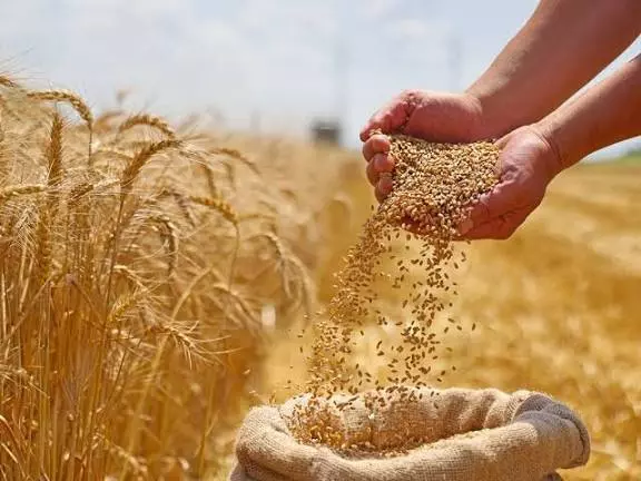 20255b4e12fb29c321b0754bbc8f815c