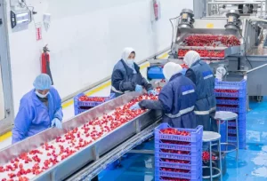 3ce1b22815553d5bd8748cbe59b6782f