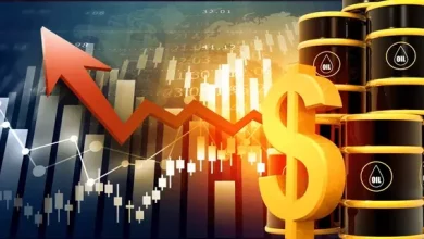 45c32b5c3c94cc8408eb6d0d3d1cffa8