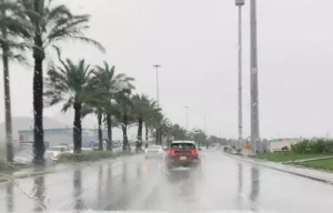 9cd4f2d414e373df2bea2e20209f0f85