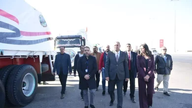 D1a55e66229fffb91e64a71368b87c47