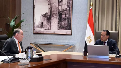 E53451dca496971e402e776417fa7491