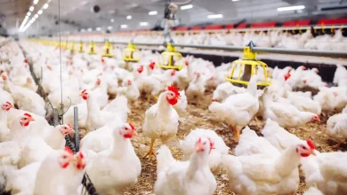 16e021bc438e677803c3d7e3a26296ac